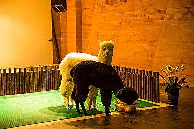 《暗黑破坏神4》肝帝玩家达成全职业满级 官方点赞